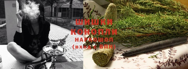 бошки Заводоуковск