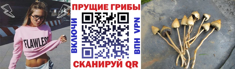 как найти наркотики  Коряжма  Псилоцибиновые грибы мухоморы 